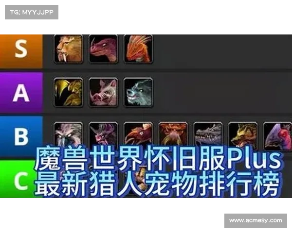 猎人宠物升级秘籍:魔兽9.0最快攻略 猎人宠物升级秘籍:魔兽9.0最快攻略