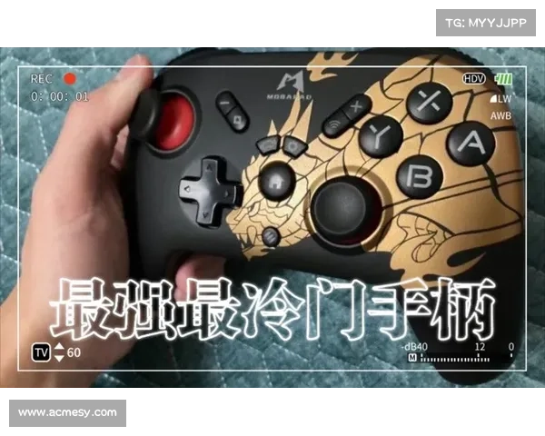魔兽世界怀旧服猎人:手柄玩法大揭秘 魔兽世界怀旧服猎人:手柄玩法大揭秘